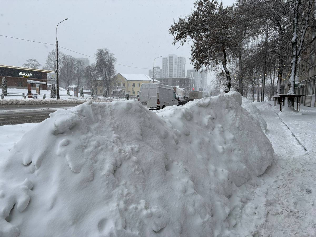 Сложная зима: в Гомельской области нашли упущения в уборке снега