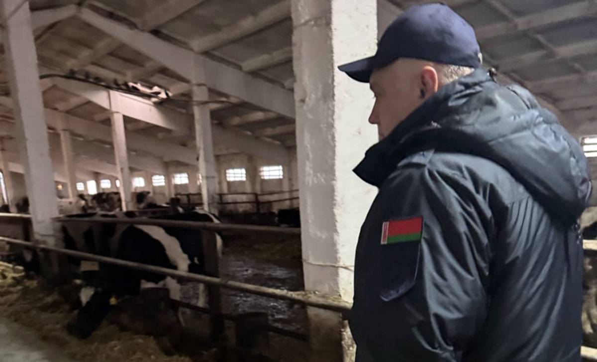 Прокуроры внесли акты надзора в адрес сельскохозяйственных организаций