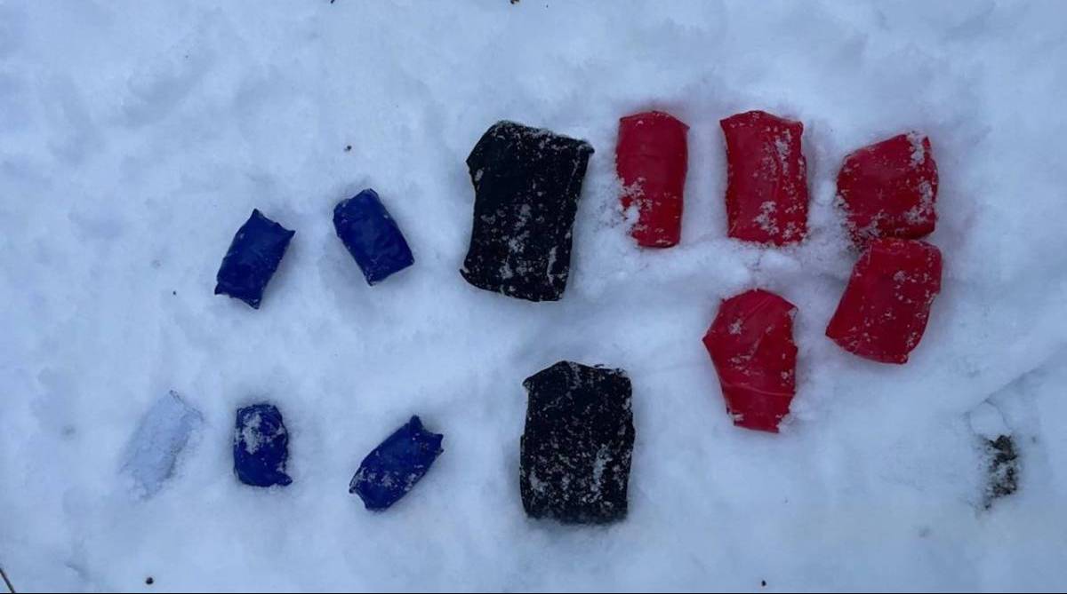 В Гомеле перекрыли канал ввоза мефедрона