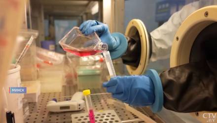 Есть ли вирус Нипах в Гомельской области — ответ эпидемиолога