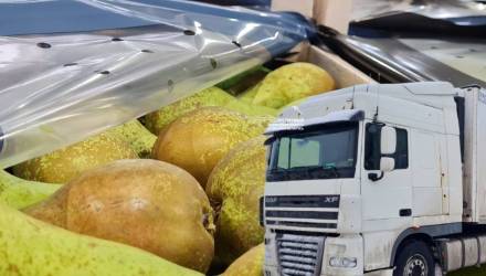 Без документов и сертификатов: в Гомельской области остановили вывоз фруктов и кормов