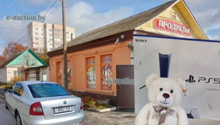 Конфискат в Гомеле: от PlayStation до магазина