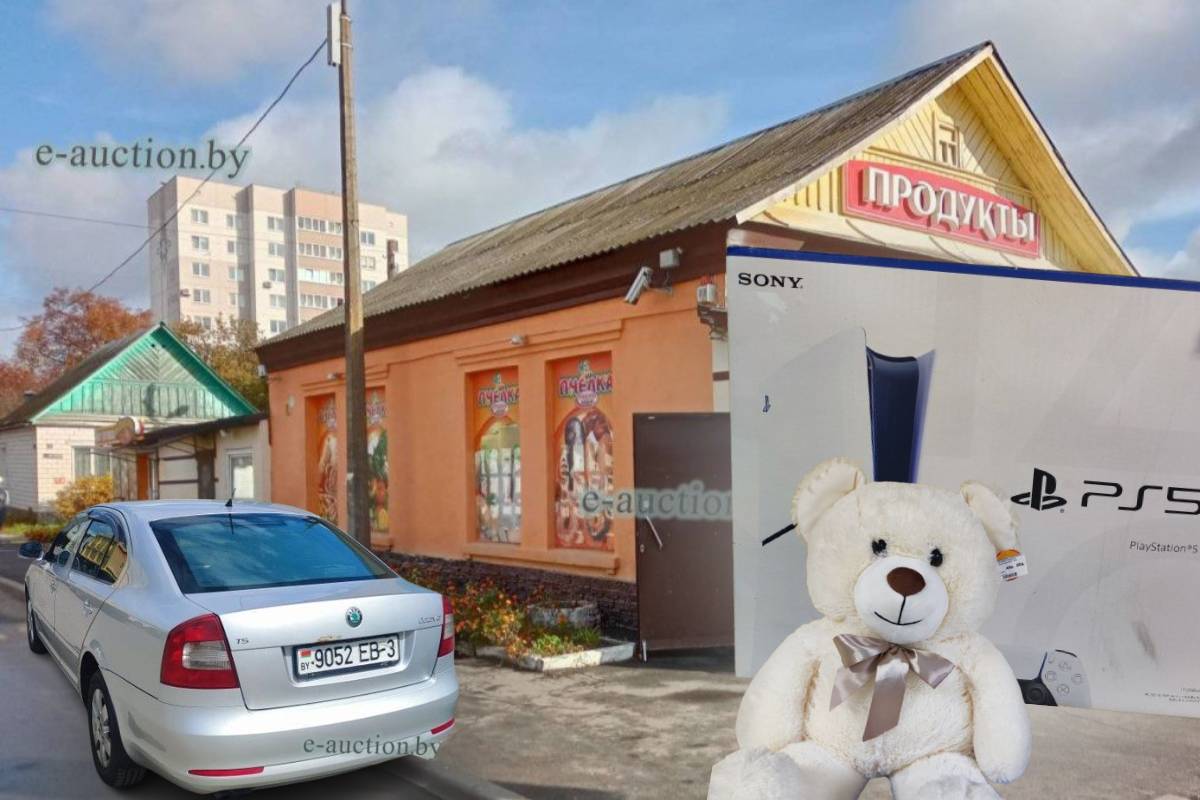 Конфискат в Гомеле: от PlayStation до магазина