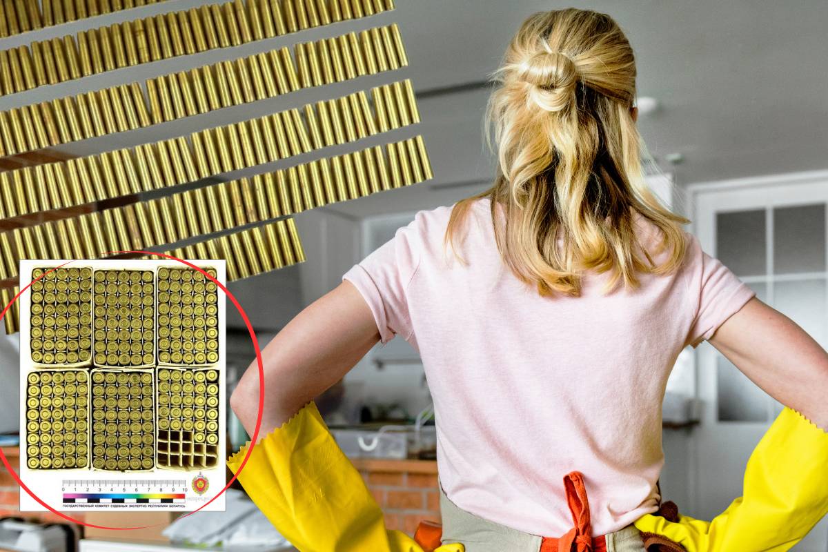 В Мозырском районе во время уборки нашли 227 патронов к револьверу Нагана