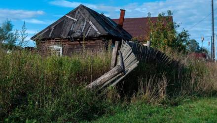 Зарос участок? В Беларуси за это штрафуют до 25 базовых