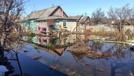 Паводок в Гомельской области: где зафиксированы подтопления