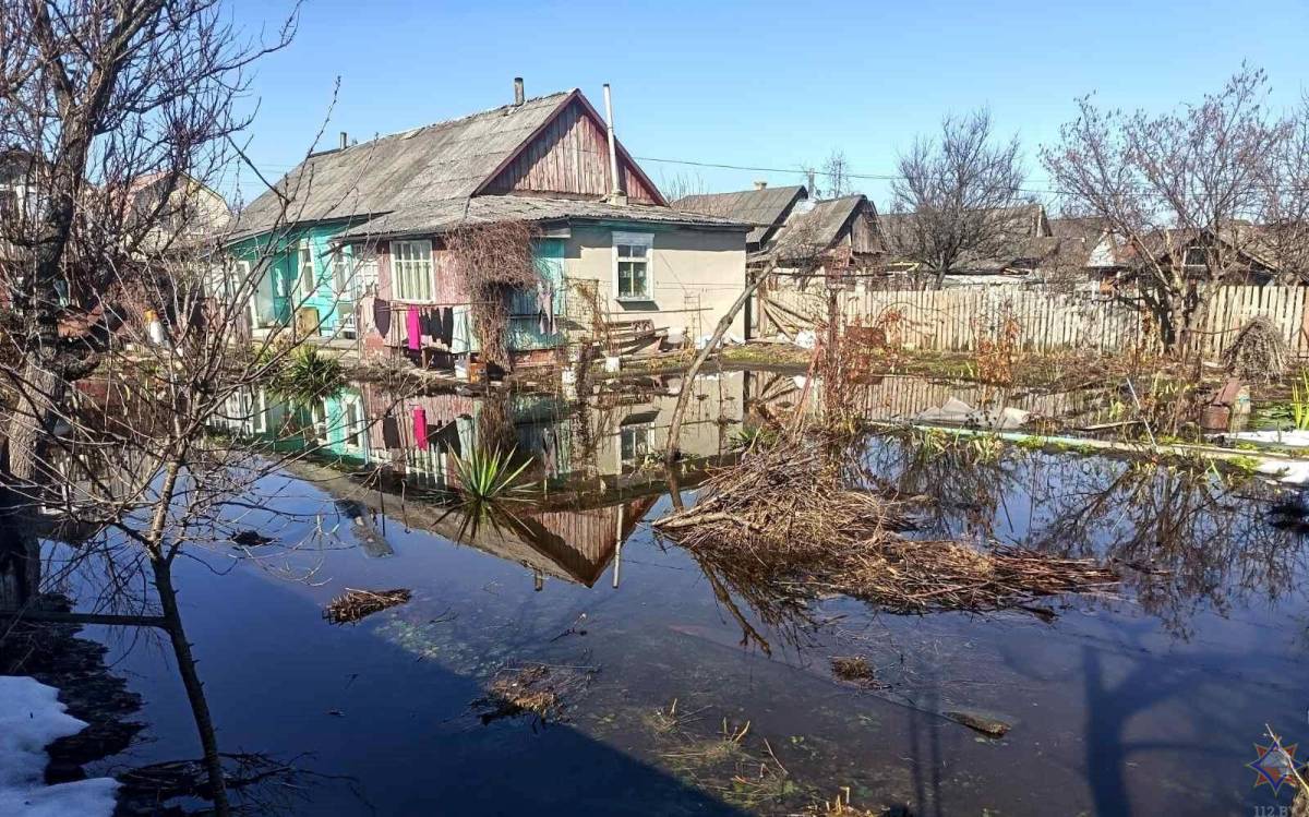 Паводок в Гомельской области: где зафиксированы подтопления