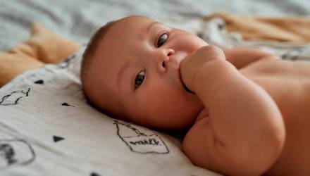 Короткое и звучное имя Лев превращается в один из трендов области. Несколько лет назад Львы встречались редко, а сегодня имя покоряет сердца родителей, выбирающих для сына судьбу победителя.