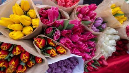 рейд по продавцам цветов в Гомеле