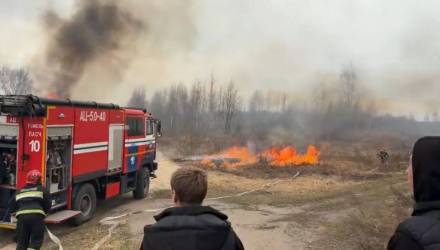 Пожар на Волотове в Гомеле: очевидцы рассказали о трёх мужчинах, двое сбежали, один уснул. Огонь едва не перекинулся на кладбище.