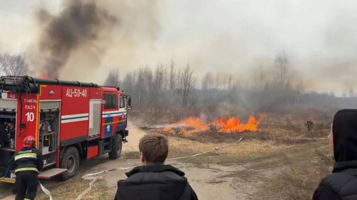 Пожар на Волотове в Гомеле: очевидцы рассказали о трёх мужчинах, двое сбежали, один уснул. Огонь едва не перекинулся на кладбище.