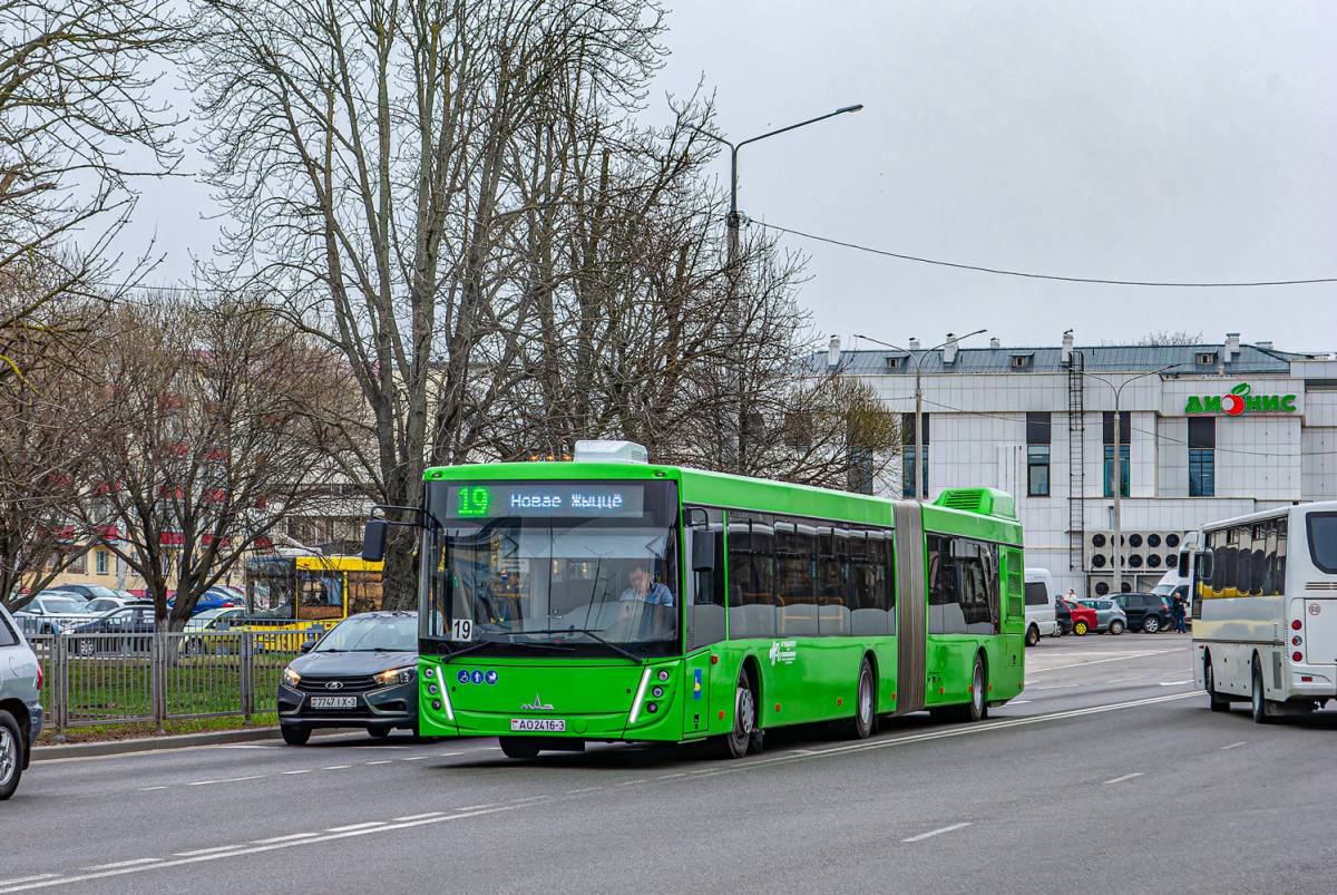 Гомель тарнспорт
