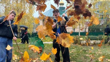 Гомельчан приглашают выйти во двор с граблями и метлой