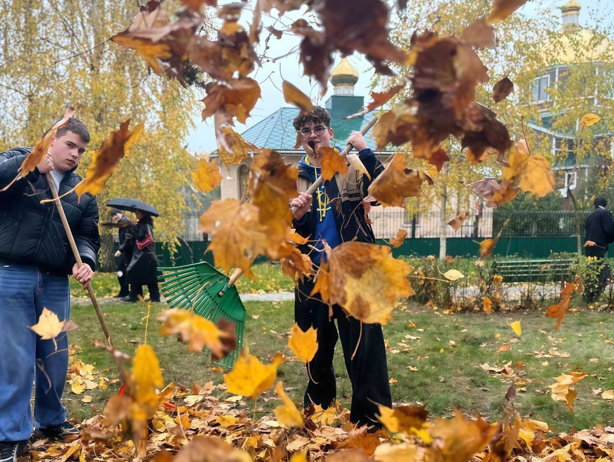 Гомельчан приглашают выйти во двор с граблями и метлой