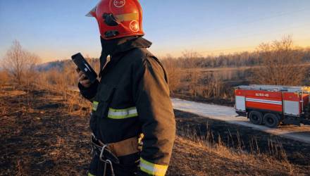 88 пожаров с начала года: в Гомельской области ввели ограничения на леса