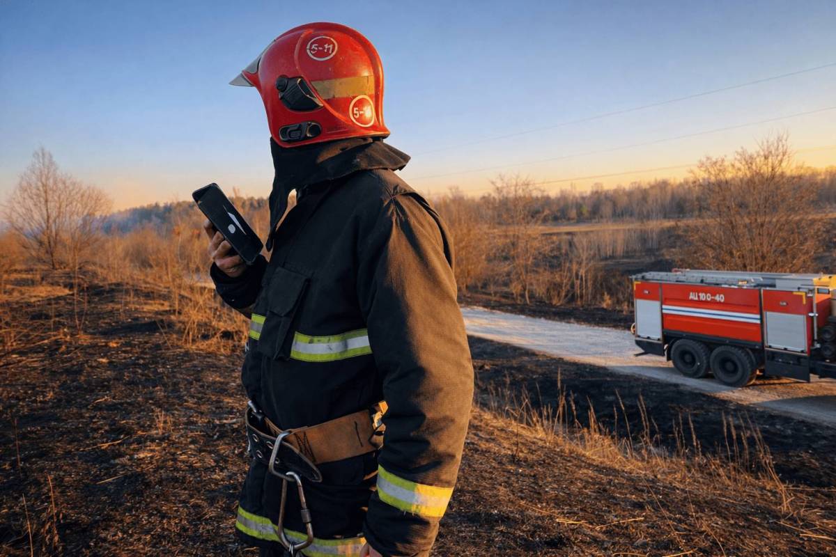 88 пожаров с начала года: в Гомельской области ввели ограничения на леса