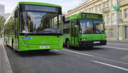 Какие автобусы ездят по Гомелю: полный разбор парка