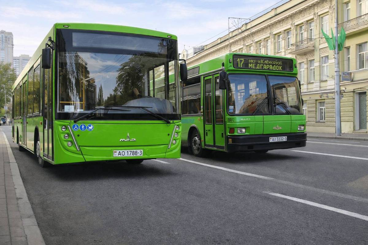 Какие автобусы ездят по Гомелю: полный разбор парка