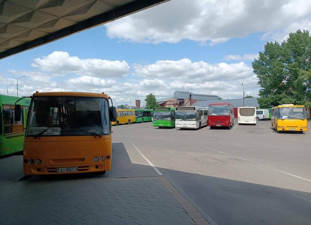 В Гомеле изменят пригородные маршруты с 15 апреля