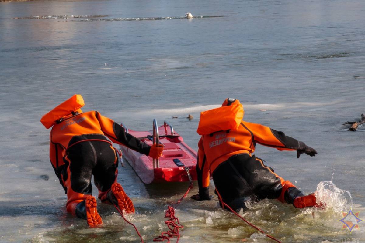 Инцидент на водоёме