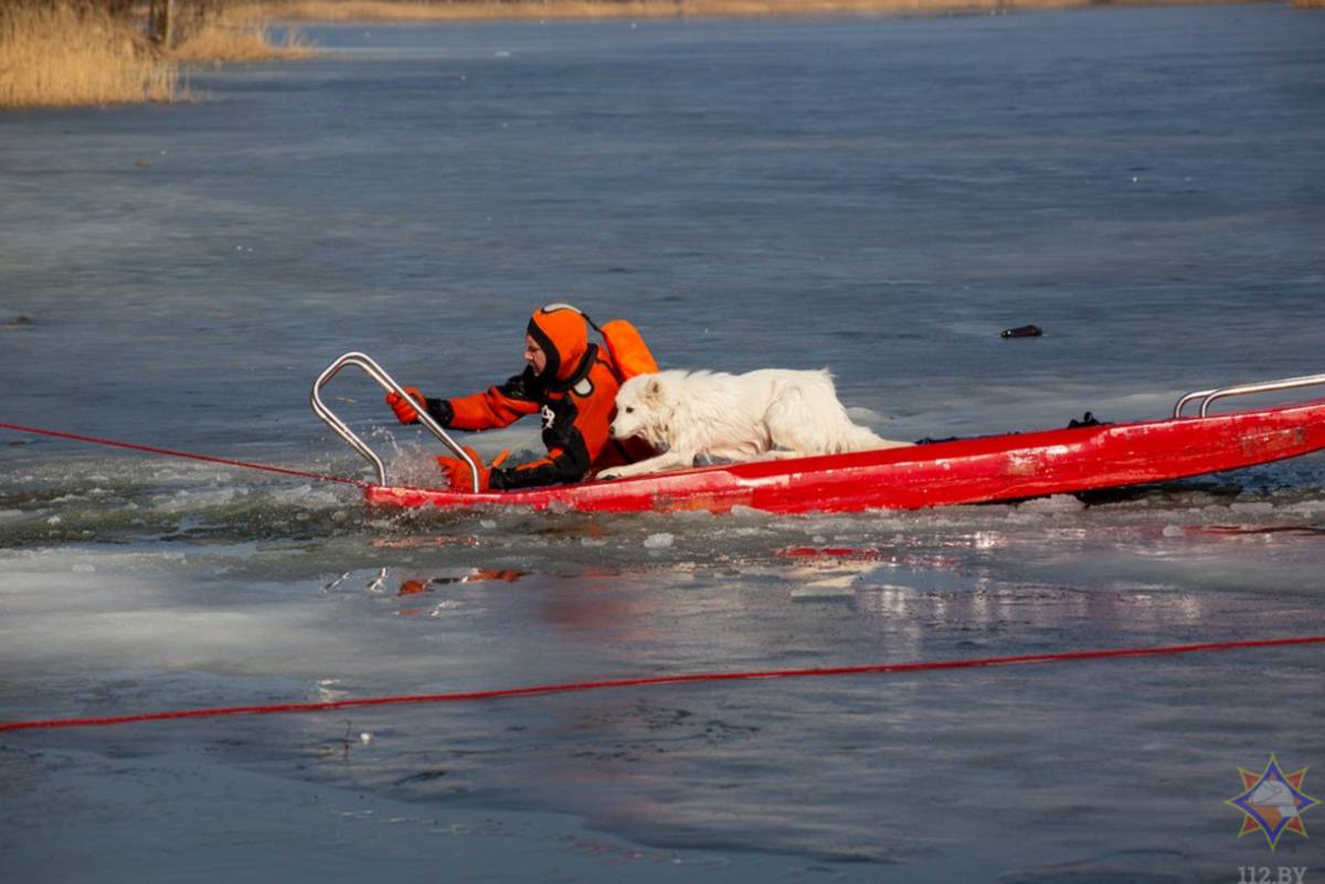 Сотрудники МЧС оперативно прибыли на место и провели спасательную операцию.