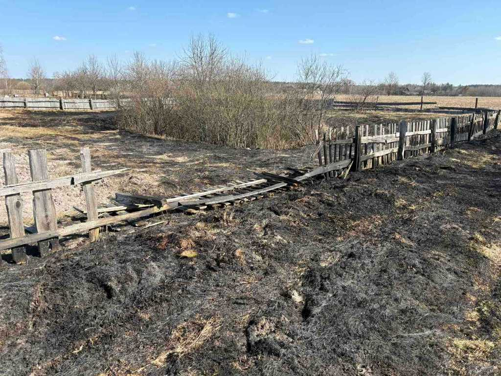 Что теперь запрещено