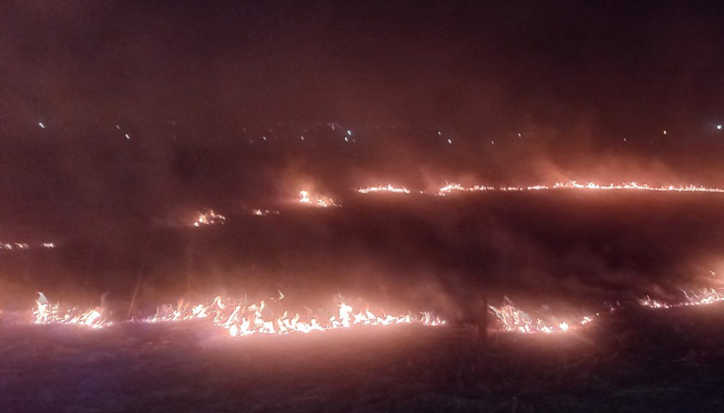 Что теперь запрещено