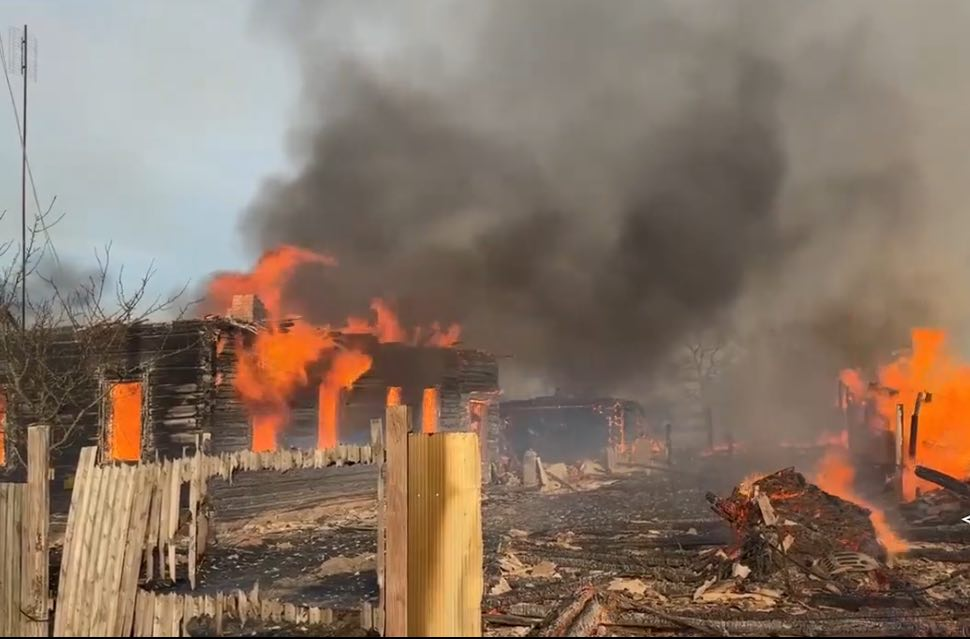 Ситуация остаётся напряжённой: только с начала года в Гомельской области зафиксировано 88 возгораний в экосистемах.