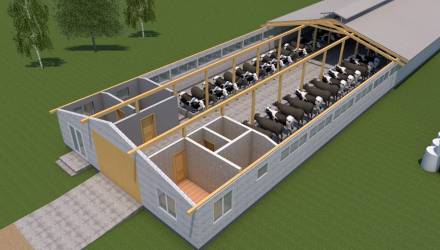 Новости Гомеля