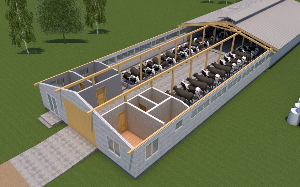 Новости Гомеля