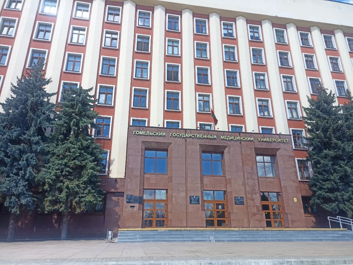 Бюджетные места в вузах Беларуси