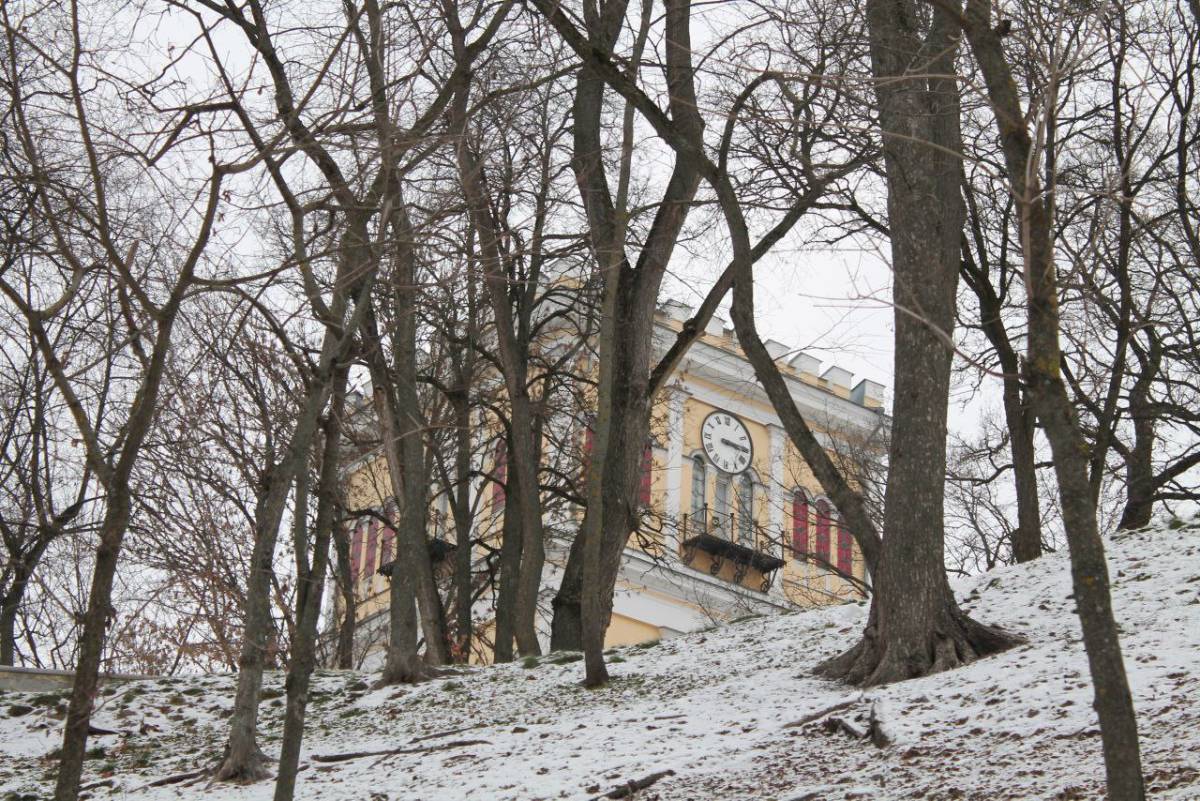 Экспозиция "Музейный предмет" откроется 5 марта в центральной части дворца Румянцевых и Паскевичей.