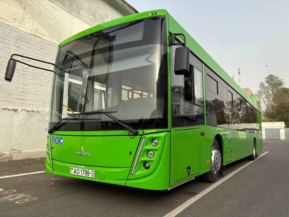 МАЗ-203 Гомель