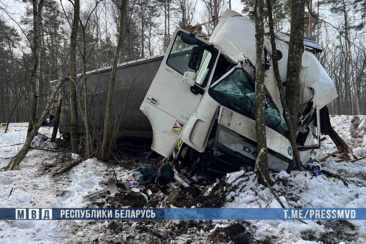 На месте работают сотрудники Госавтоинспекции и следственно-оперативная группа