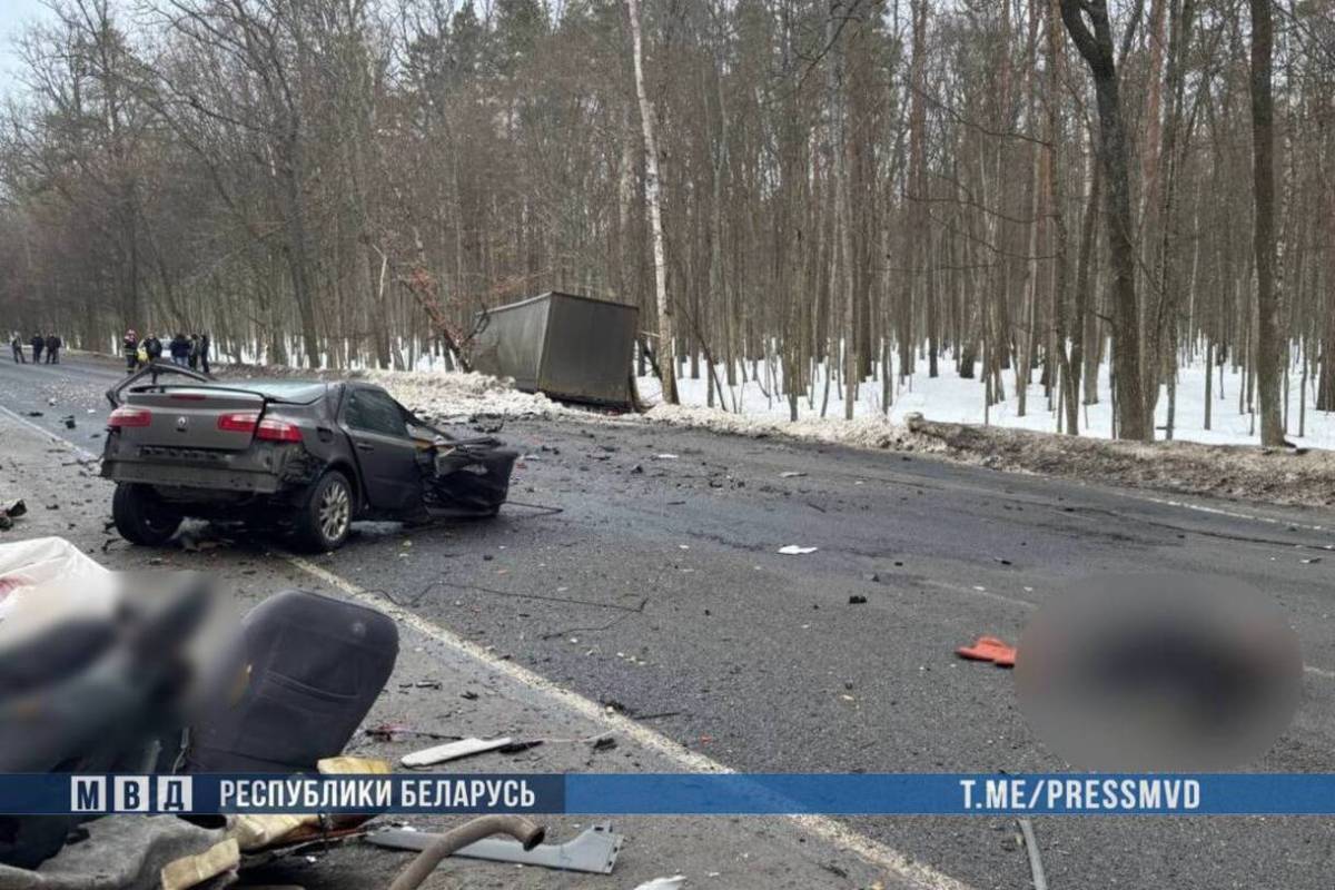 Обстоятельства произошедшего устанавливаются.