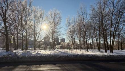 3 марта в Гомеле: гололедица и +4 днём