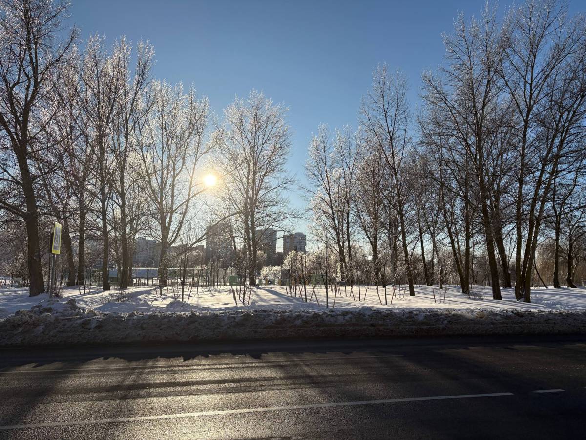 3 марта в Гомеле: гололедица и +4 днём
