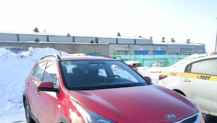 Под Гомелем задержали нелегальное такси