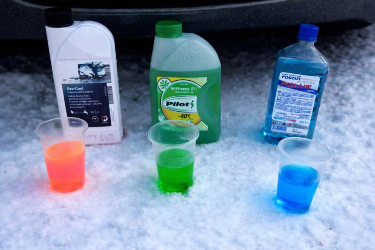 Новости Беларуси