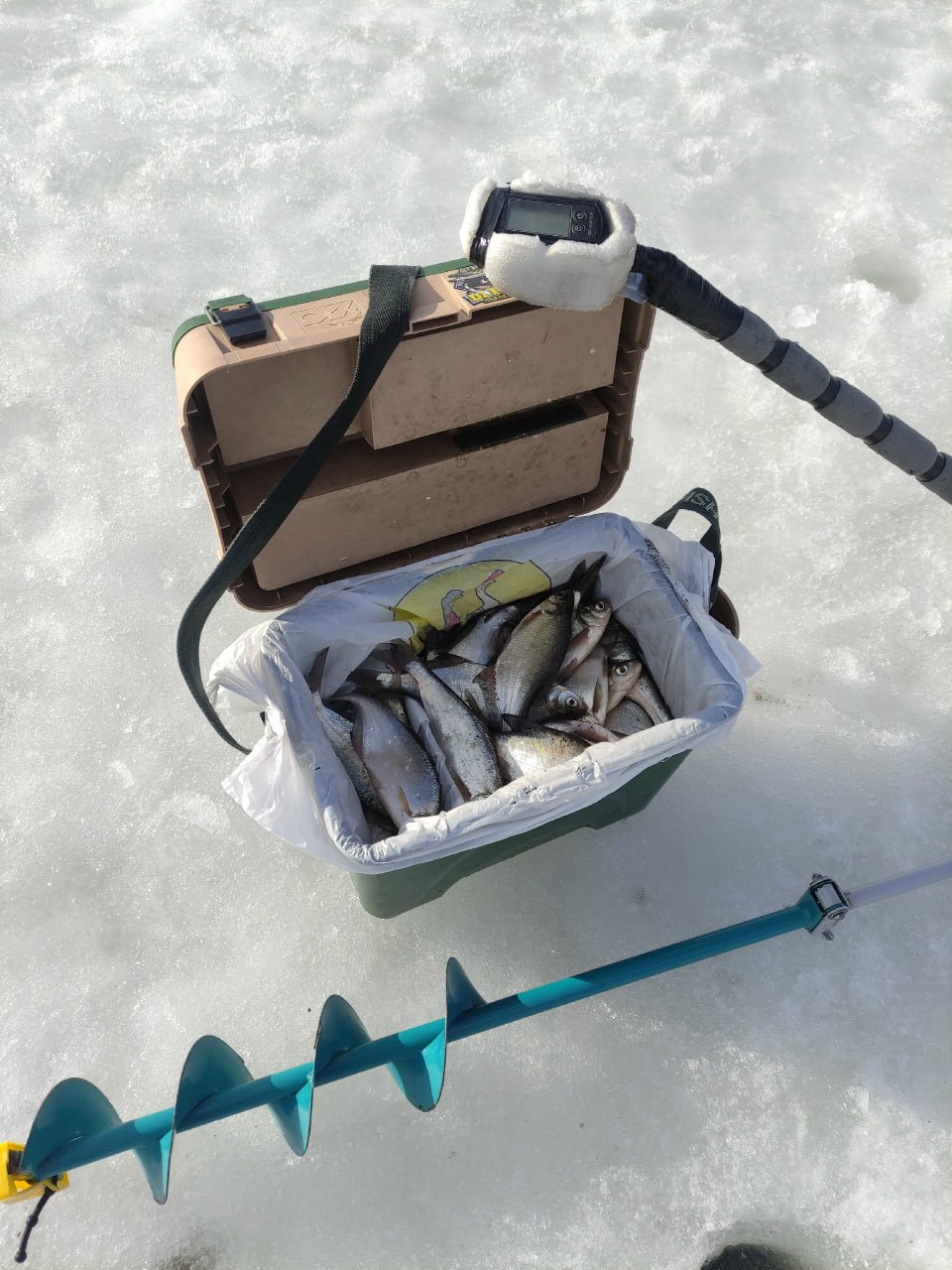 Рыбалка проходила 4 марта прямо в черте города — на Роповском озере