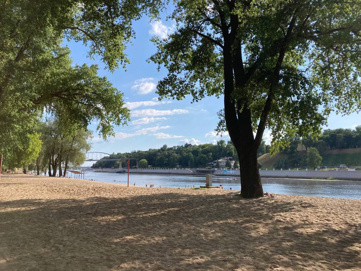 Центральный пляж в Гомеле могут обновить