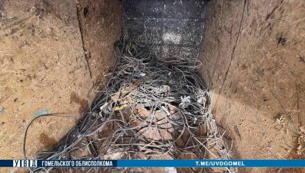 Под Гомелем остановили микроавтобус с 2 тоннами металлолома