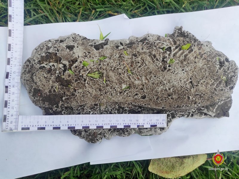 Гомель криминал