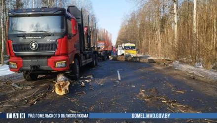 В Чечерском районе погиб пешеход, пытавшийся убрать дерево с дороги