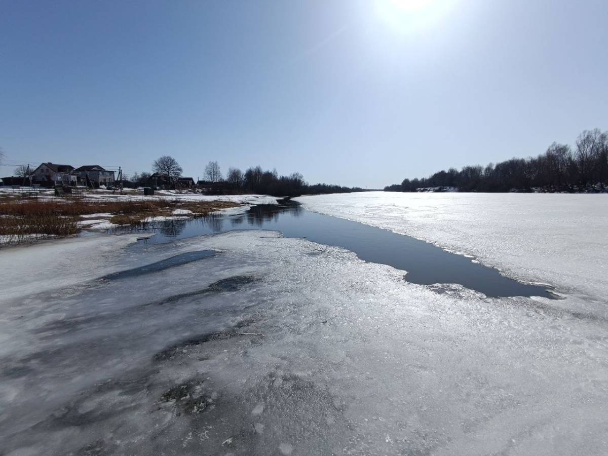 Сож в Гомеле продолжает расти: за сутки плюс 8 сантиметров