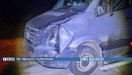 Смертельное ДТП под Гомелем: на трассе М-10 погиб пешеход