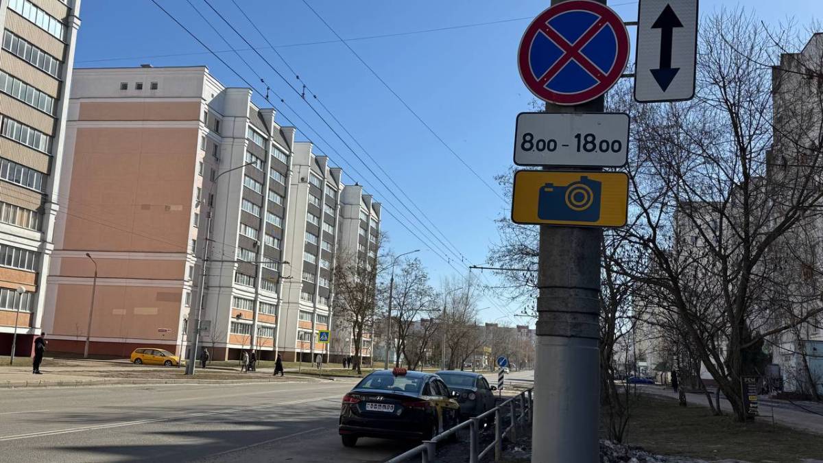 Где работает «Оцелот»