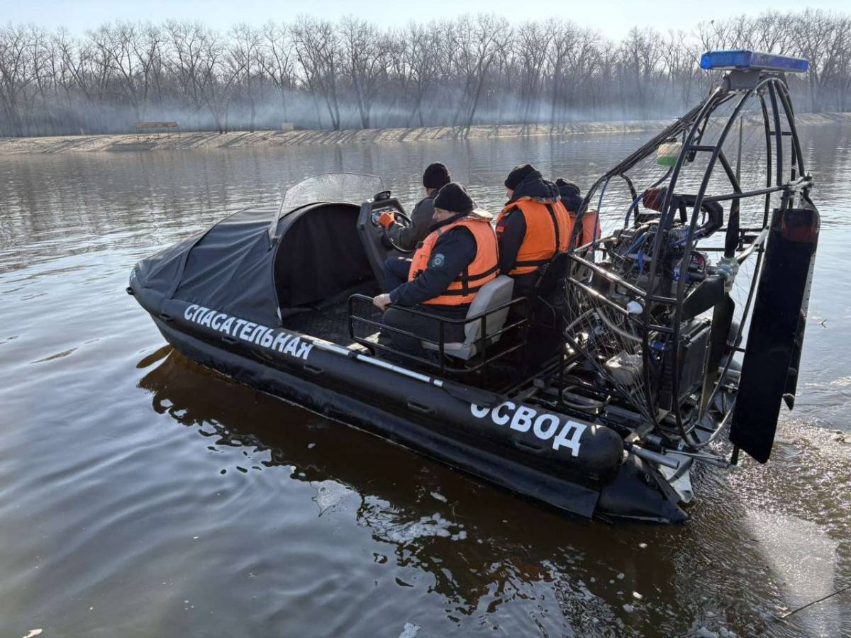 Сезон закрыт: почему в Гомеле опасно выходить на лёд