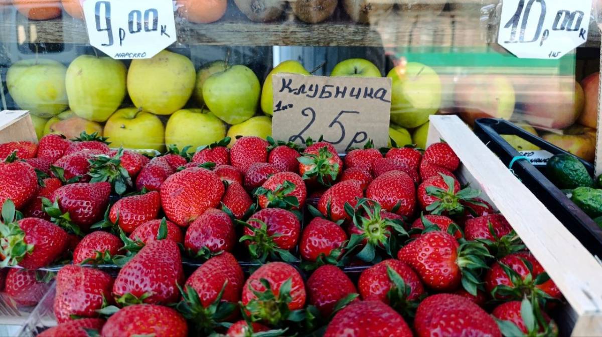 Новости Гомеля