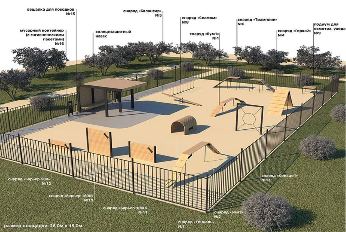 В Гомеле откроют площадку для выгула собак